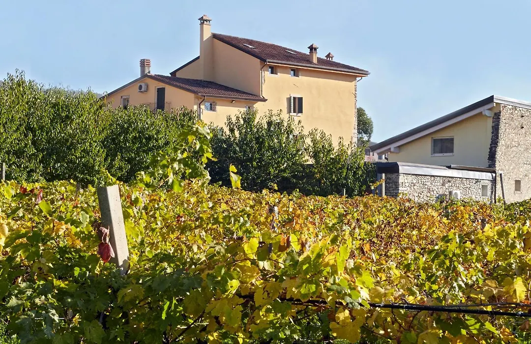 B&B Agorà-1